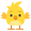 :hatched_chick: